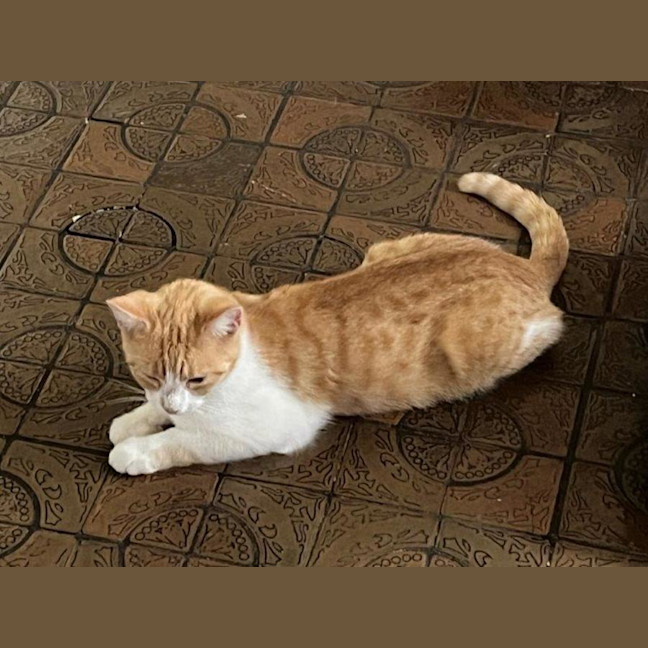 Photo of Olivia O'cleary