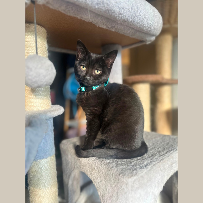 Photo of Lulu