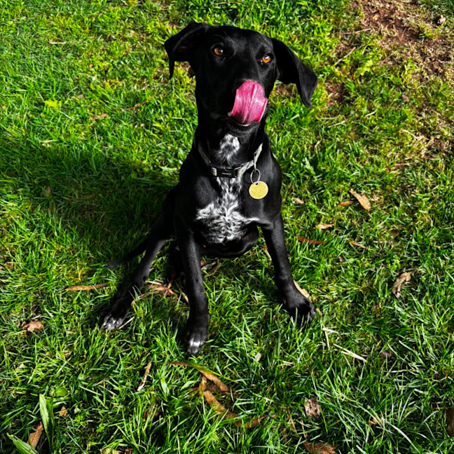 Photo of Silvercool
