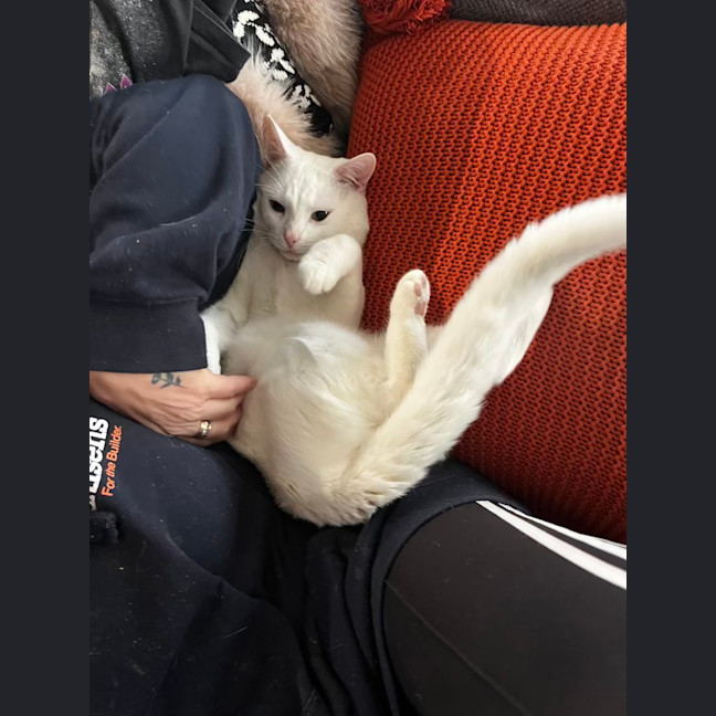 Photo of Wally
