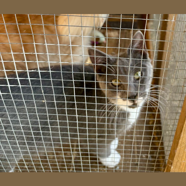 Photo of Mr Stash