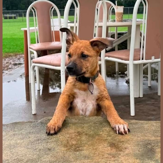 Photo of Winston