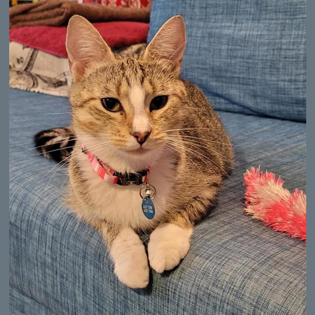 Photo of Belle