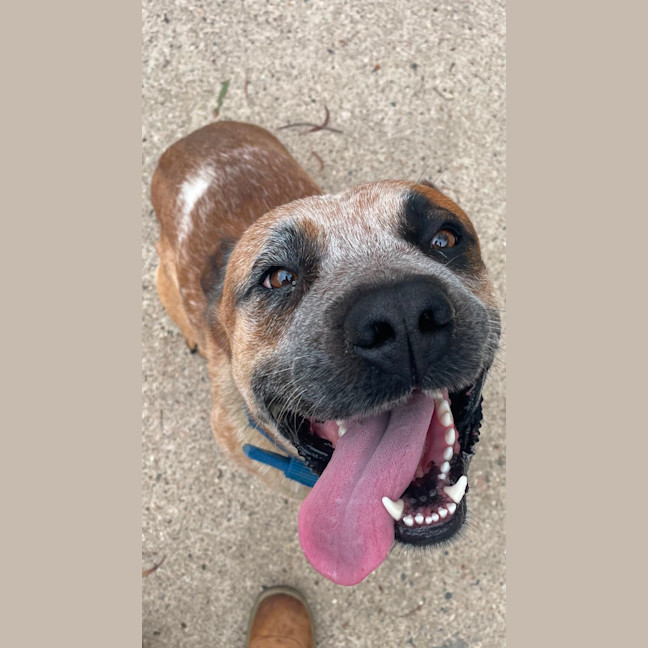 Photo of Max