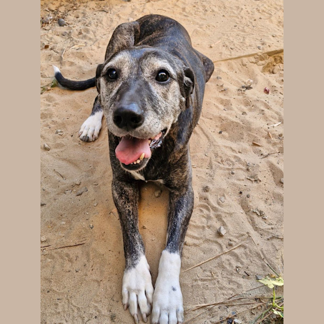 Photo of Luca And Tinka 