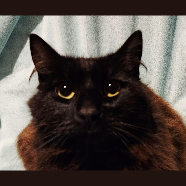 Photo of Baron