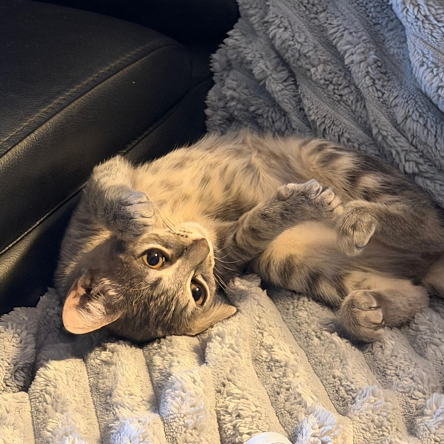 Photo of Hazel