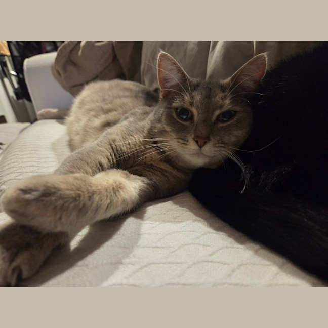 Photo of Luna