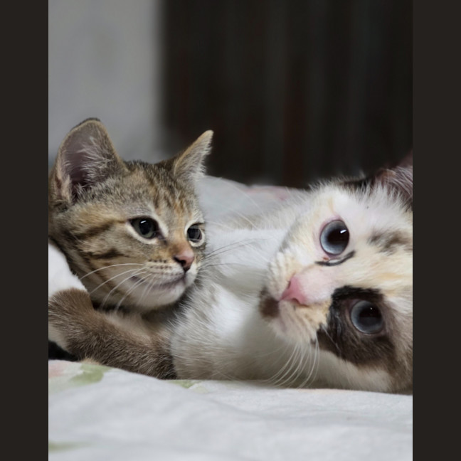 Photo of Dairy Queen