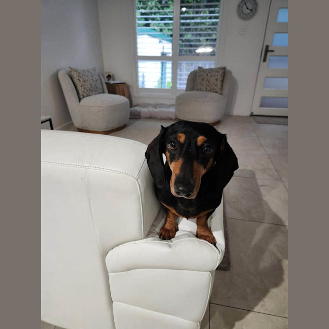 Photo of Tilly
