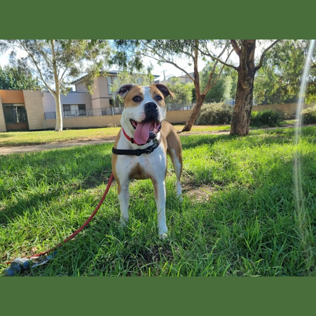 Photo of Yoko Newhaven