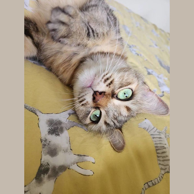 Photo of Priscilla