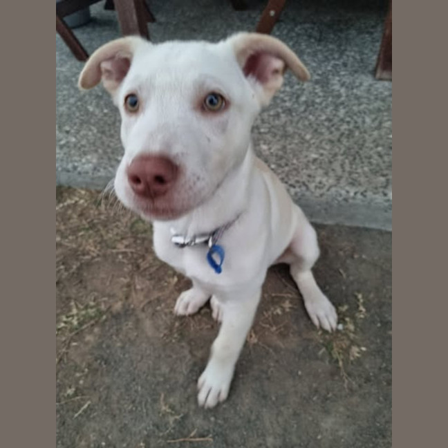 Photo of Silas