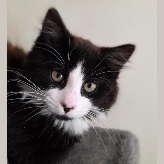Photo of Harriet
