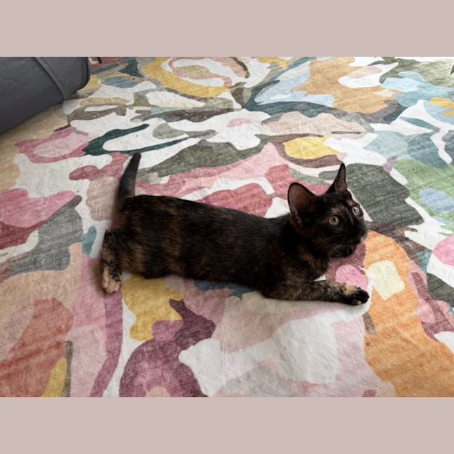 Photo of Hazel