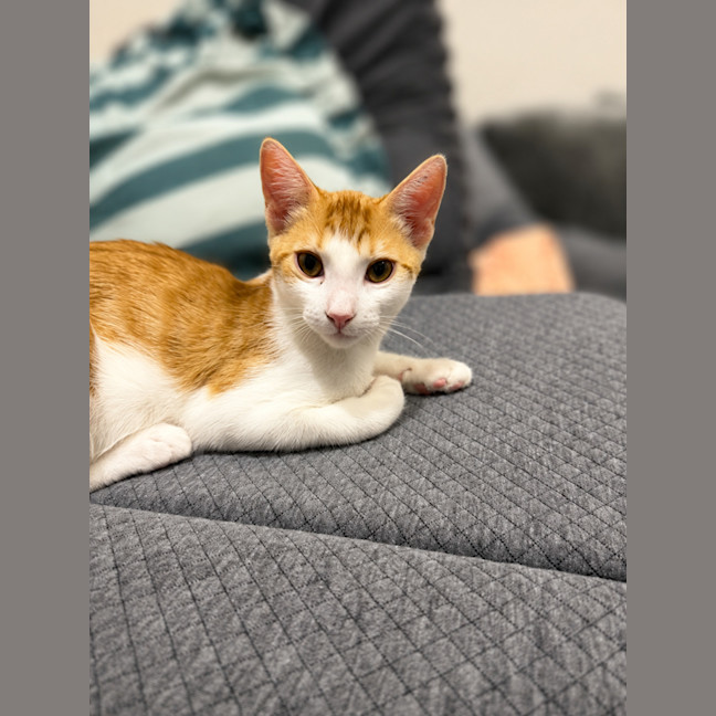 Photo of Bingo