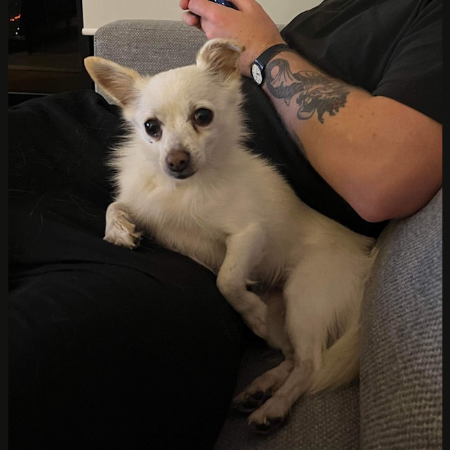 Photo of Maggie