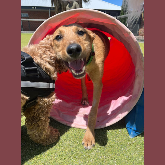 Photo of Reginald