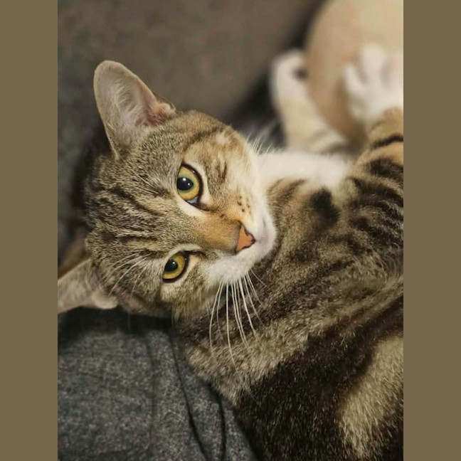 Photo of Jake