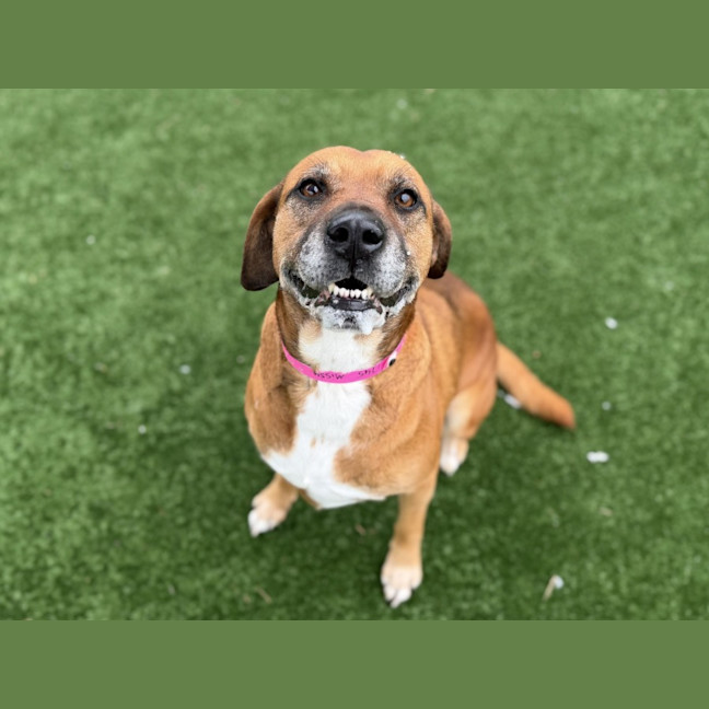 Photo of Missy Imp 1745
