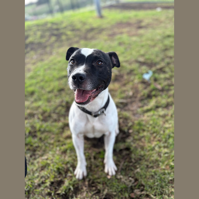 Photo of Arlo