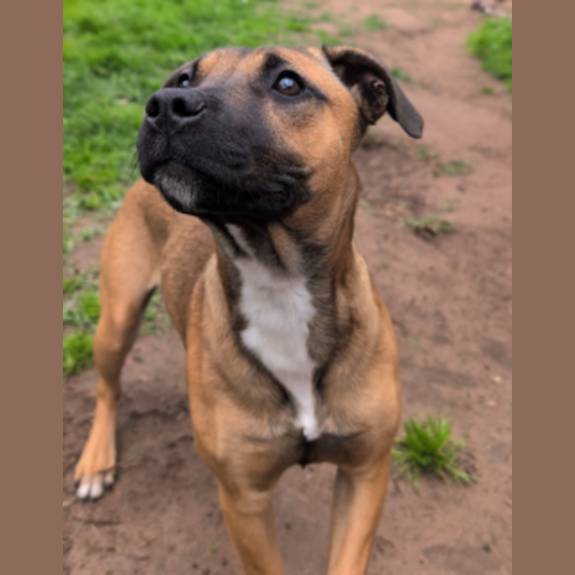 Photo of Miss. Honey