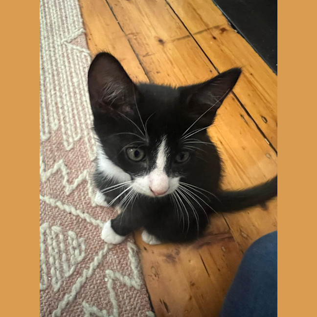 Photo of Ralphie