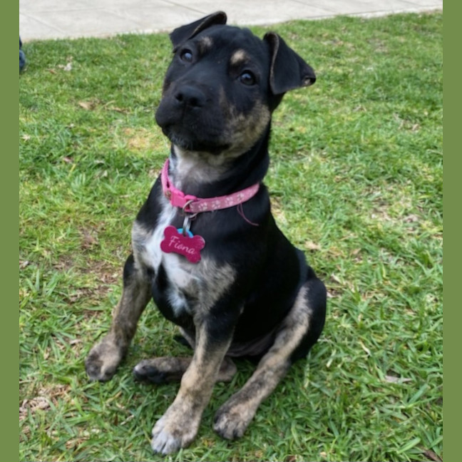 Photo of Princess Fiona