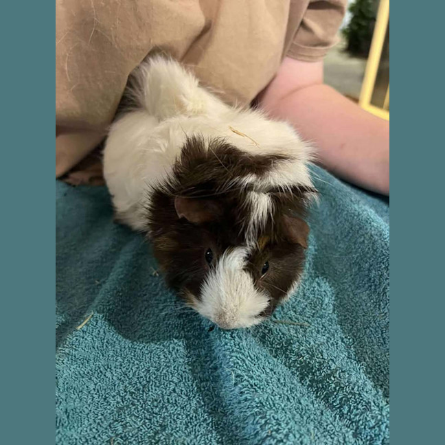 Photo of Gina & Mina