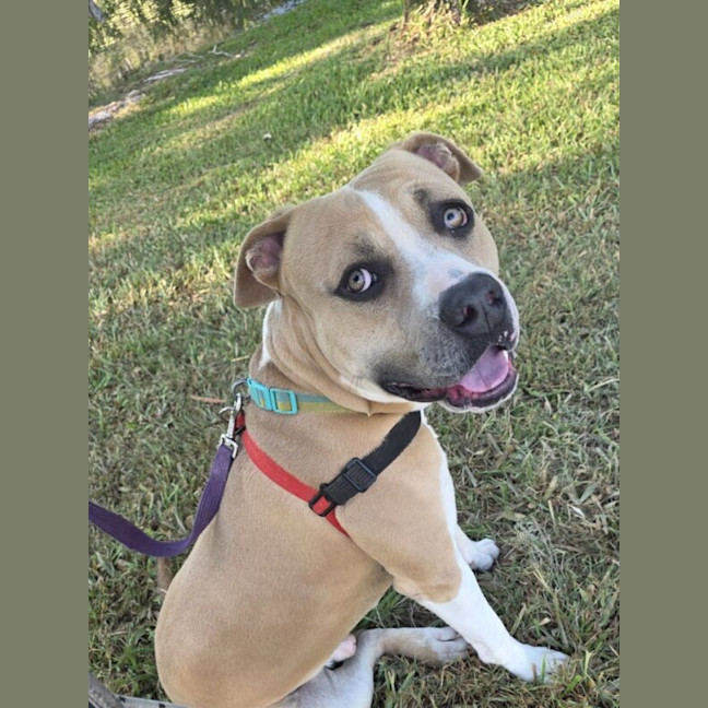 Photo of Zeus