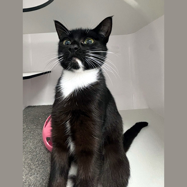 Photo of Missy Sta013399