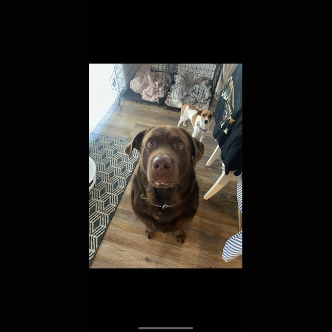 Photo of Freddy
