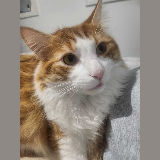 Photo of Jasper
