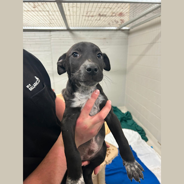 Photo of Quarter Past