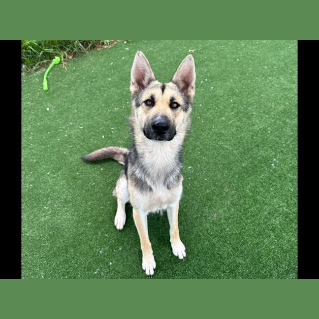 Photo of Sookie Imp 2206