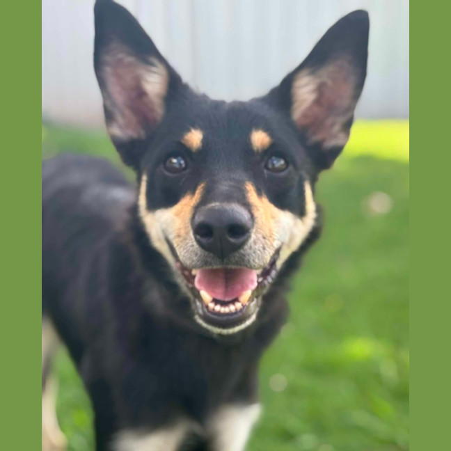 Photo of Matilda 