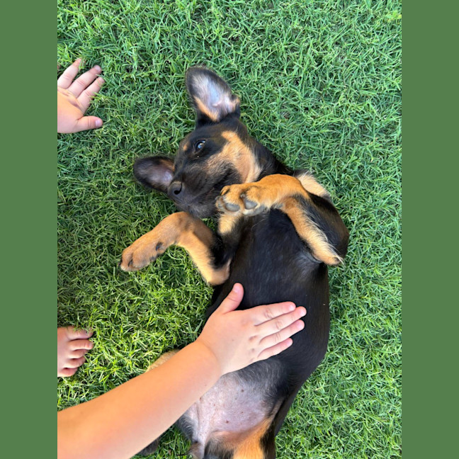 Photo of Matilda