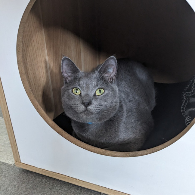 Photo of Travis   Located In Preston