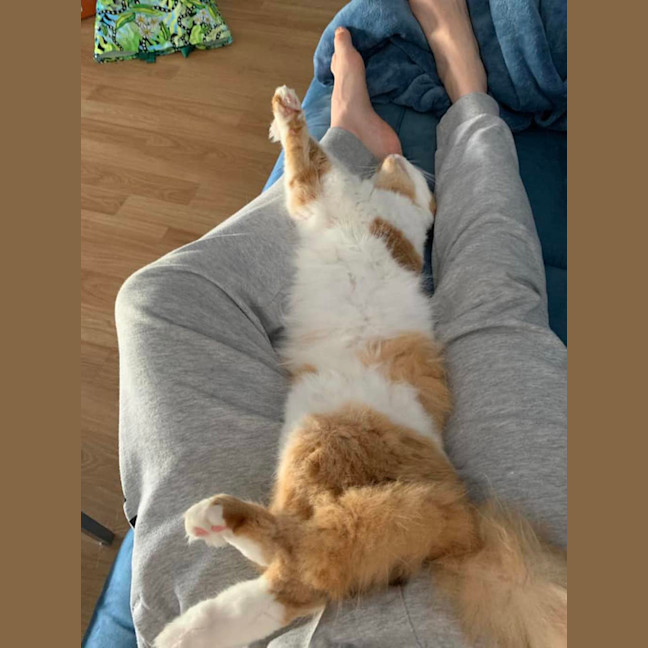 Photo of Frodo Beans