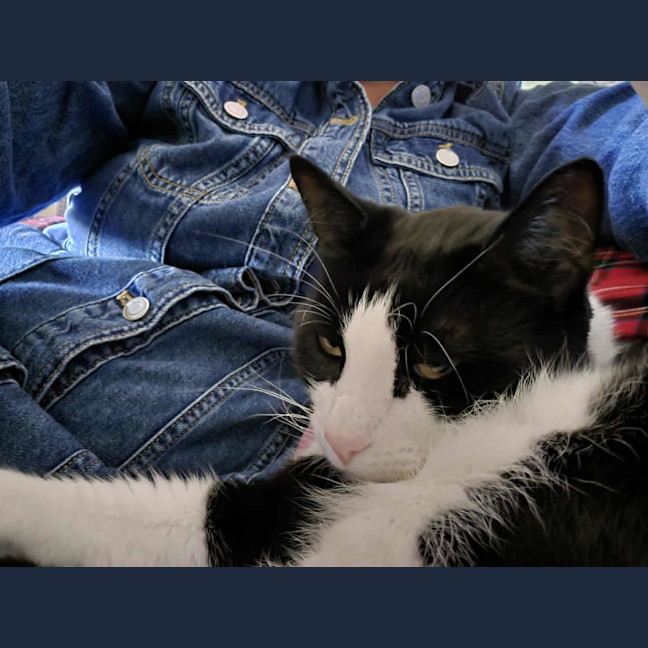 Photo of Oscar