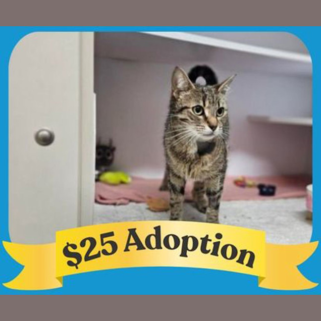 Photo of Eggnogatha Christie