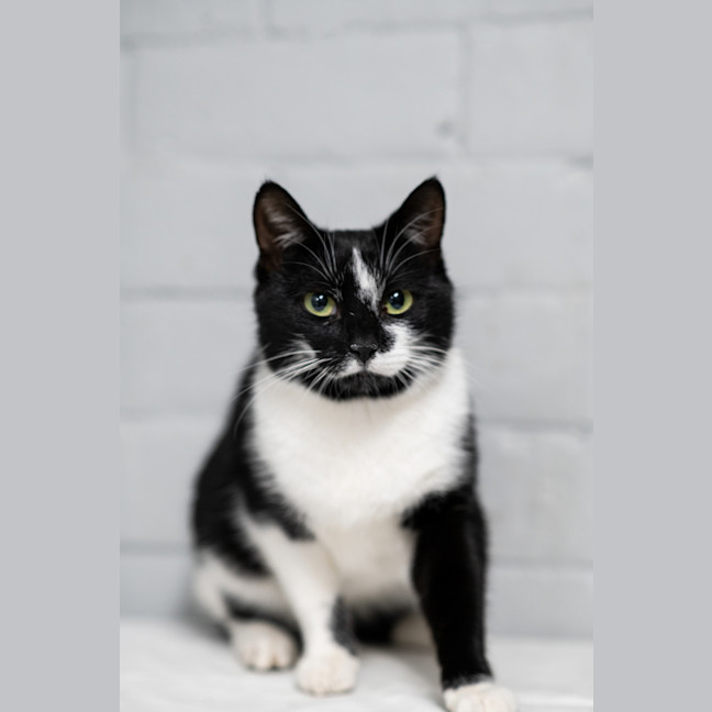 Photo of Morticia