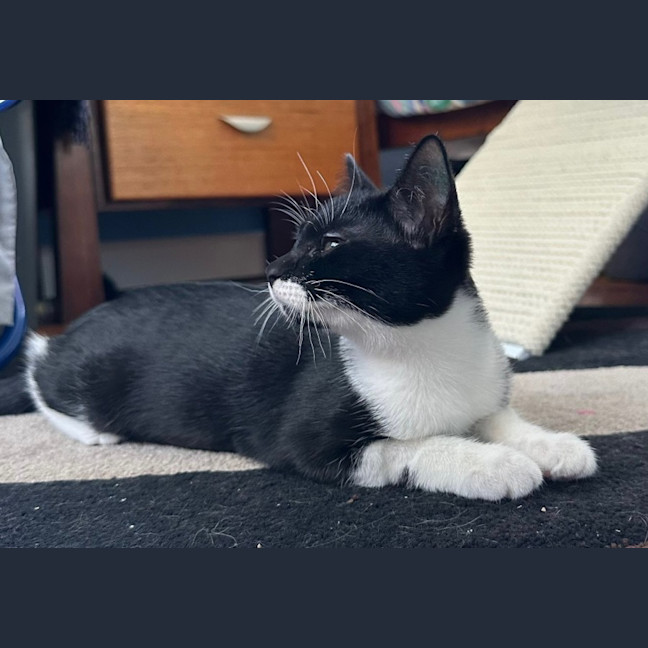 Photo of Minnie