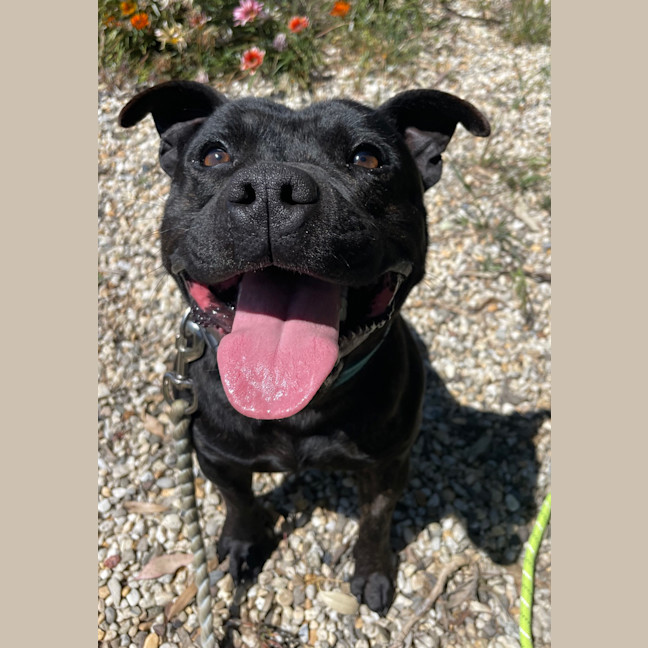 Photo of Cherry Licious Soda Pop