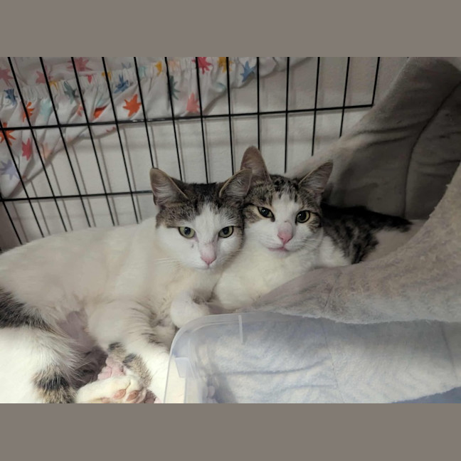 Photo of Miles & Maggie