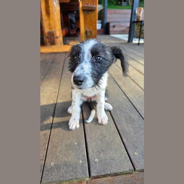 Photo of Maggie