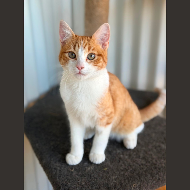 Photo of Skeeter