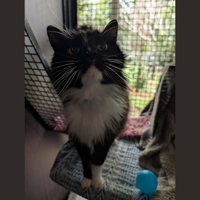Photo of Coco