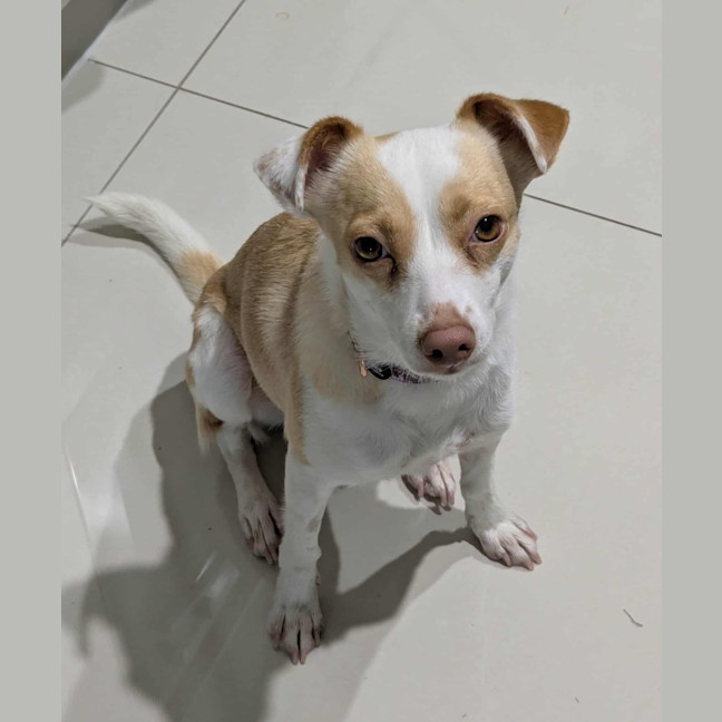 Photo of Bella