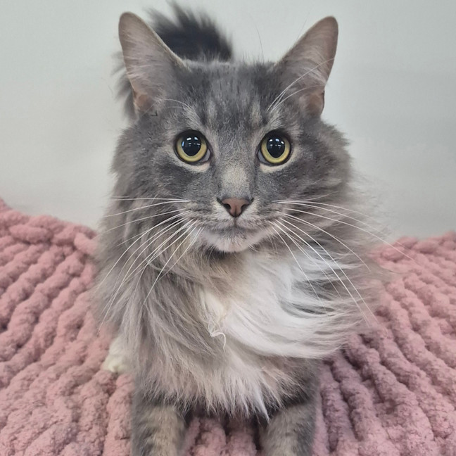 Photo of Ragnar